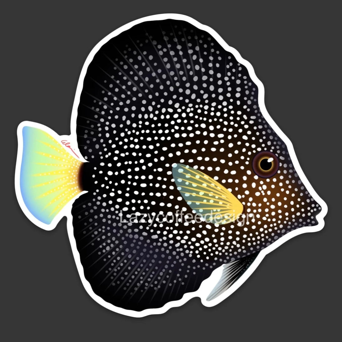 Gem Doktorfisch