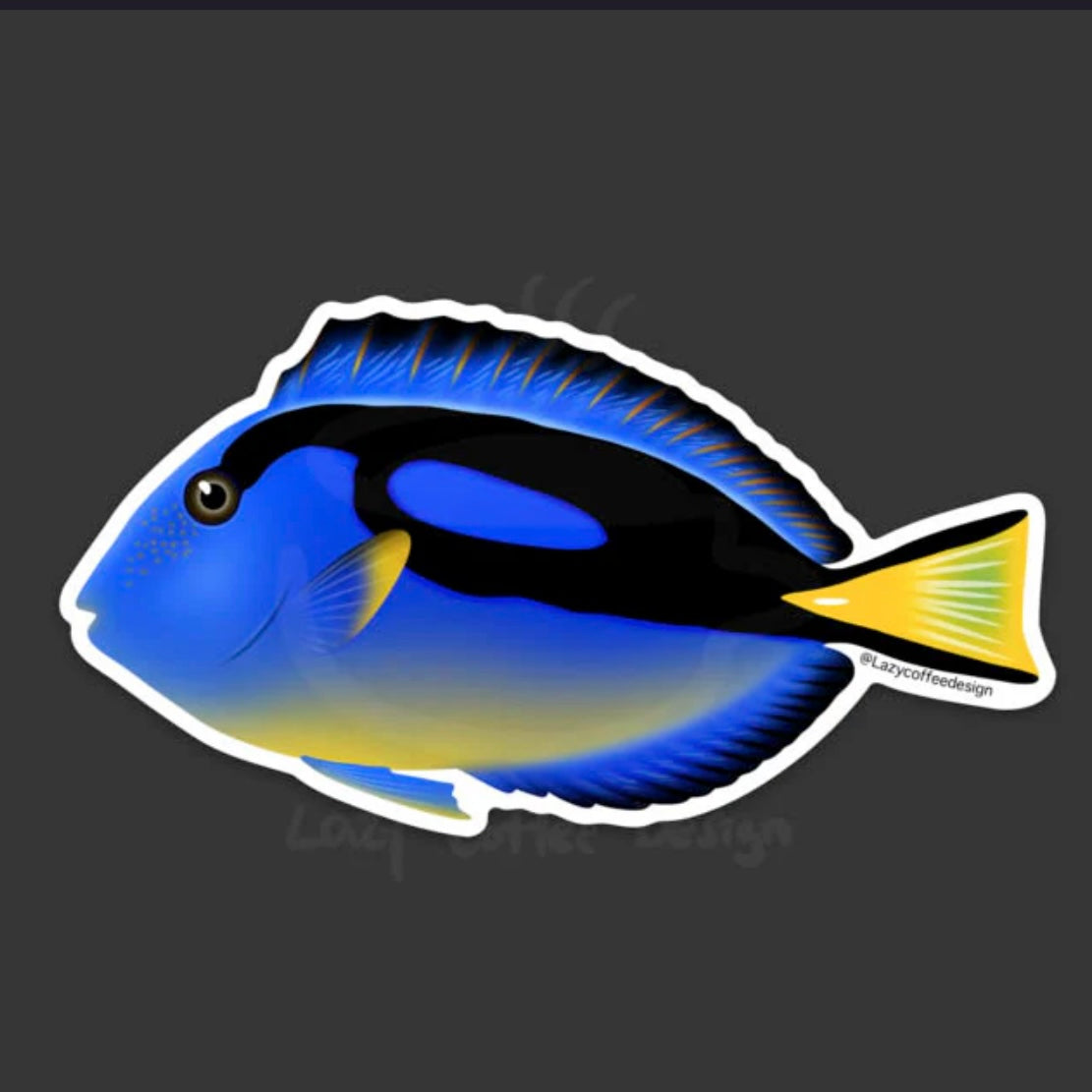 Dori