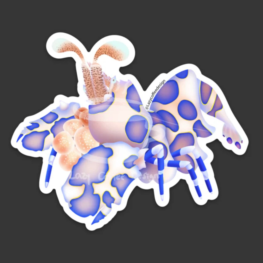 Harlequin Garnele