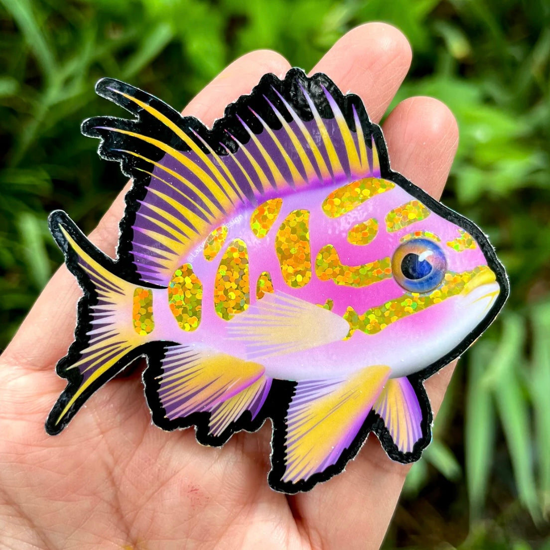 Anthias Fisch