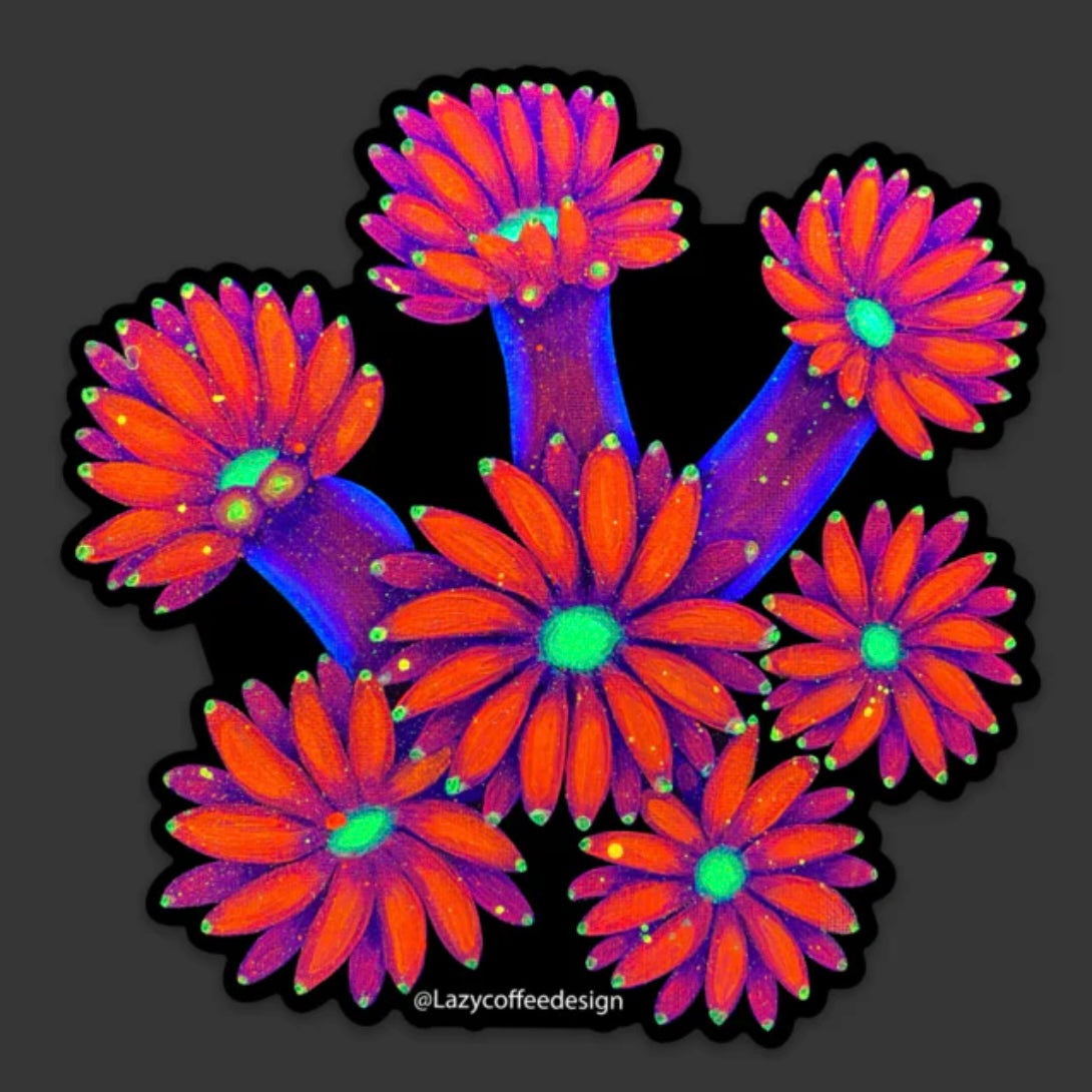 Gonipora