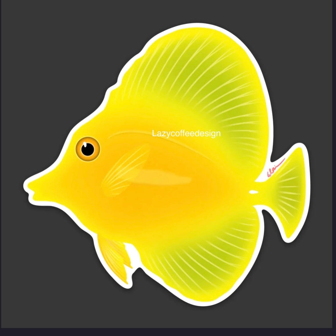 Hawaii Doktorfisch