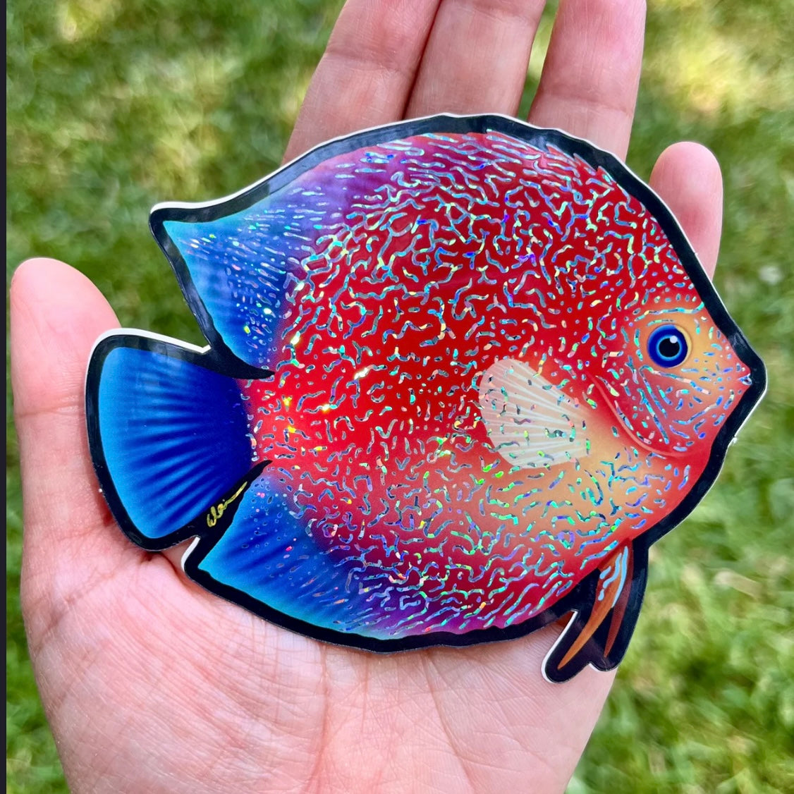 Diskus Fisch/Glitzer