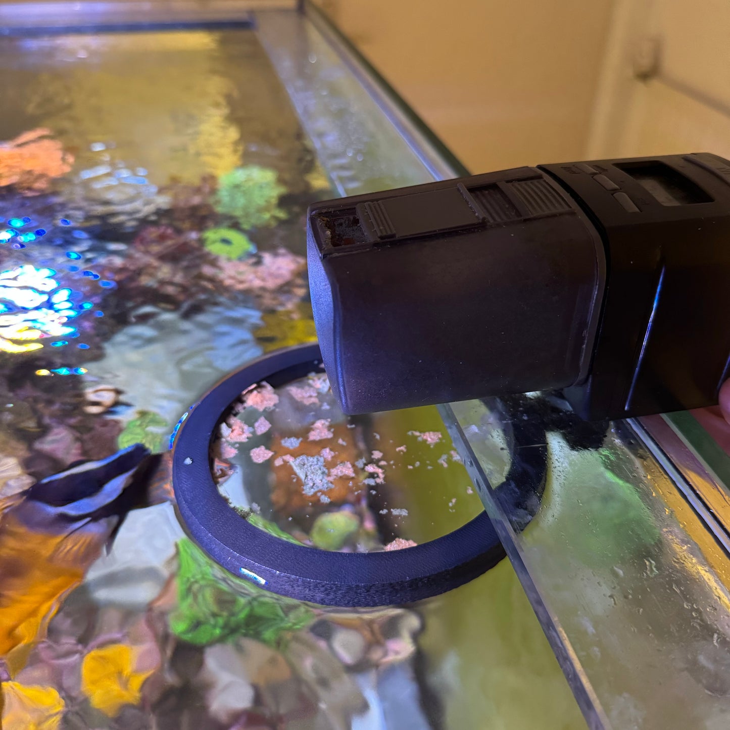 Ring Feeder