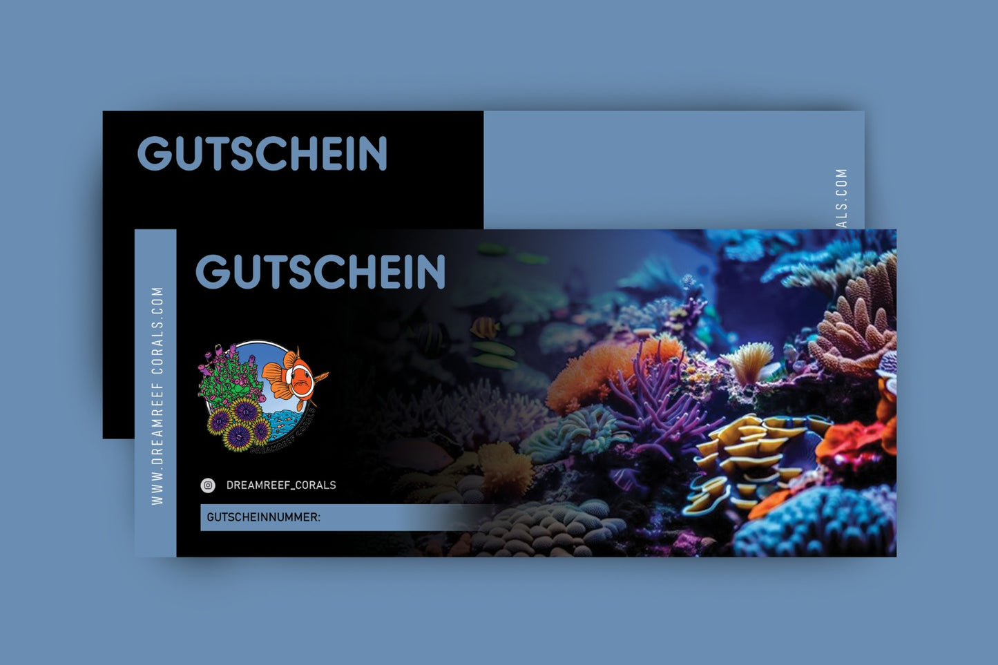 Dreamreef Geschenkgutscheine