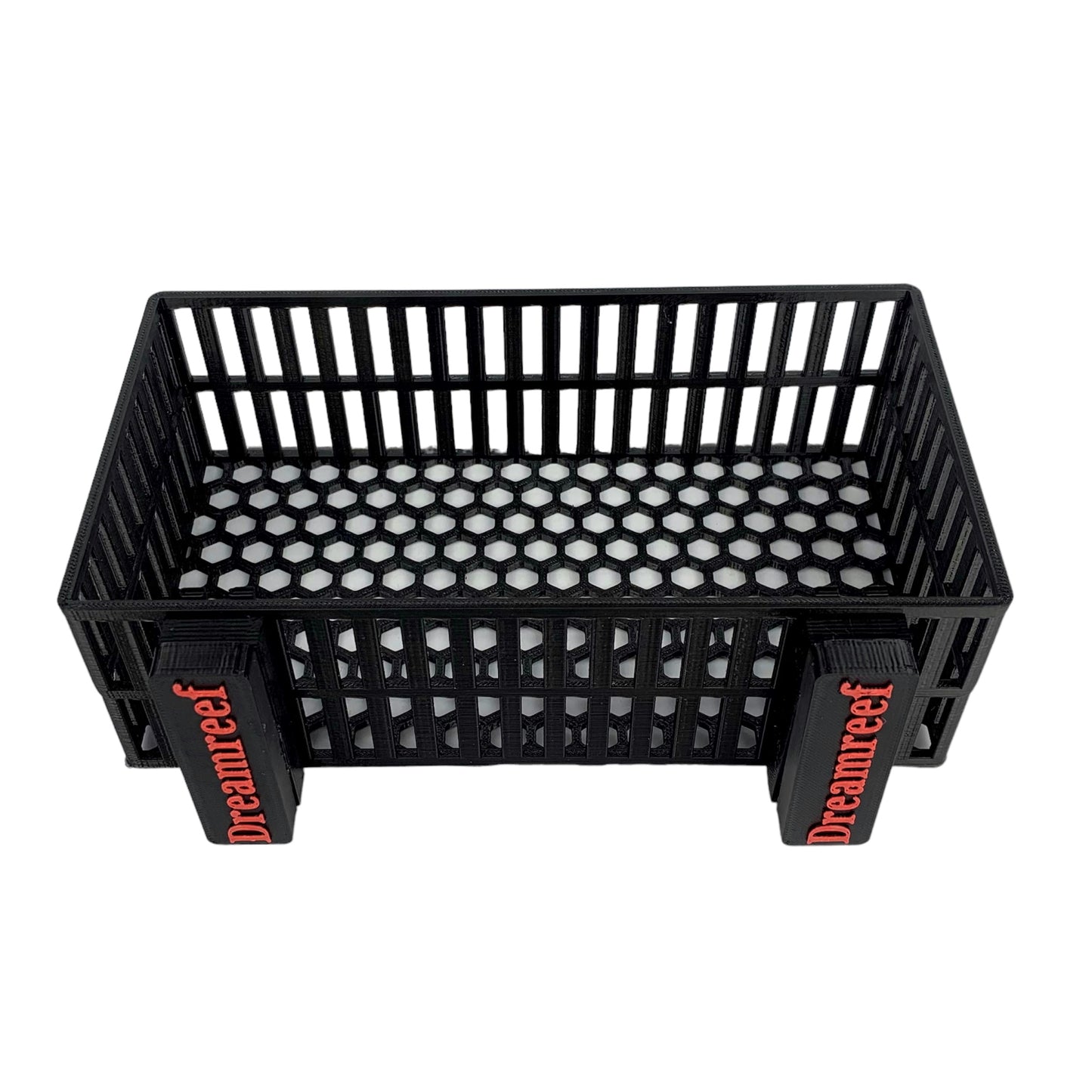 Korallenzucht Produkte B-Ware