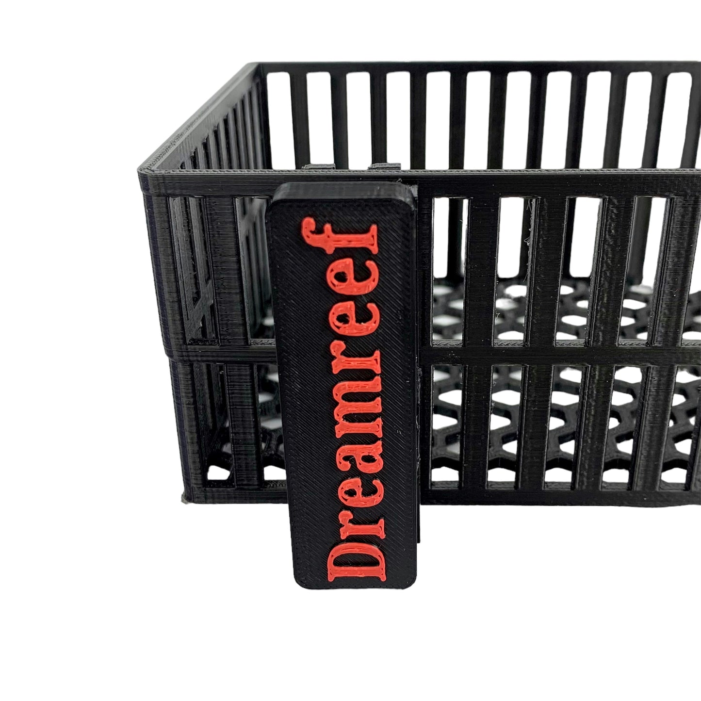 Korallenzucht Produkte B-Ware