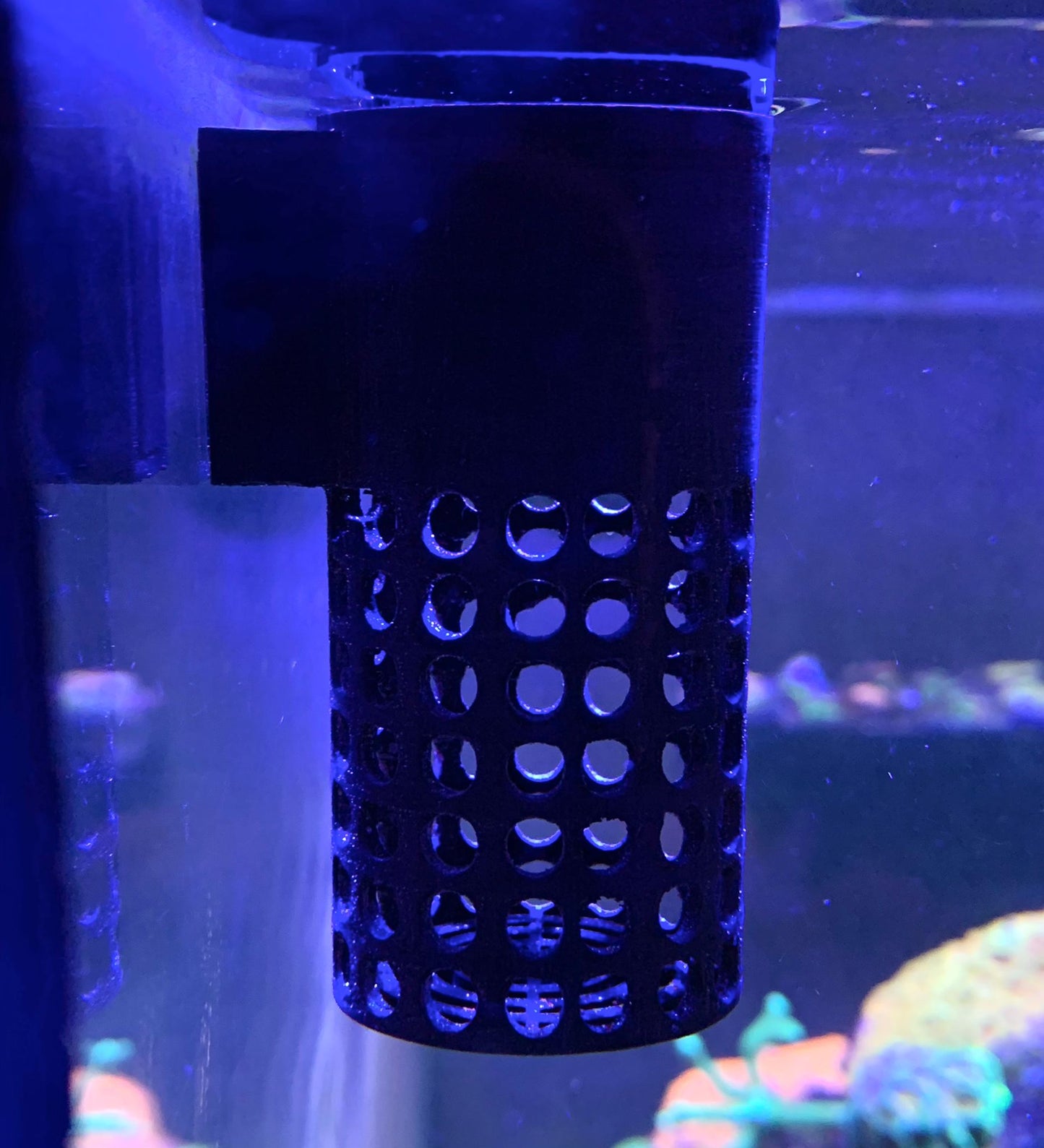 Frostfutter Feeder