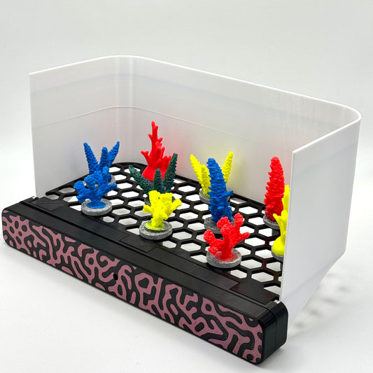 Fotobox für professionelle Korallenfotos