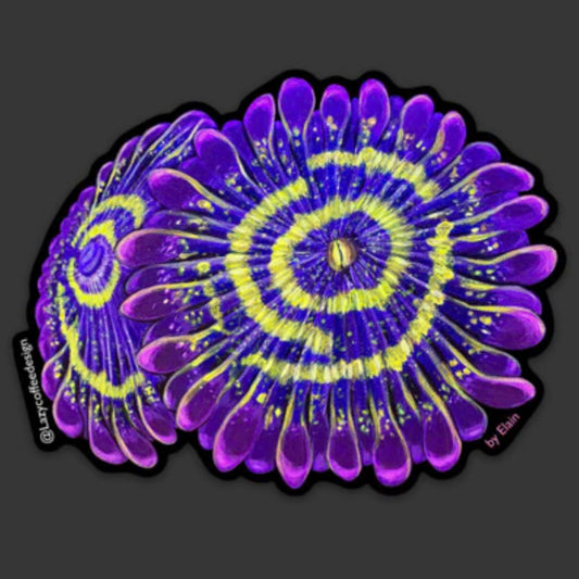 Stratophere Zoa